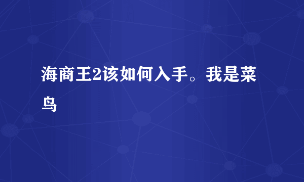 海商王2该如何入手。我是菜鸟