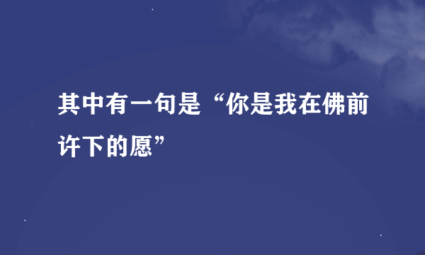 其中有一句是“你是我在佛前许下的愿”