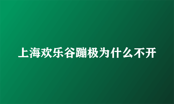 上海欢乐谷蹦极为什么不开