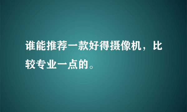 谁能推荐一款好得摄像机，比较专业一点的。