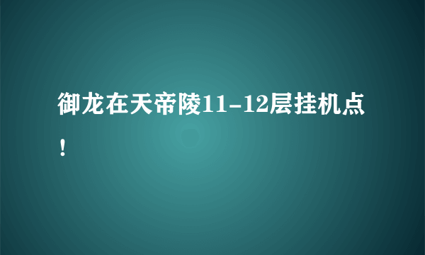 御龙在天帝陵11-12层挂机点！