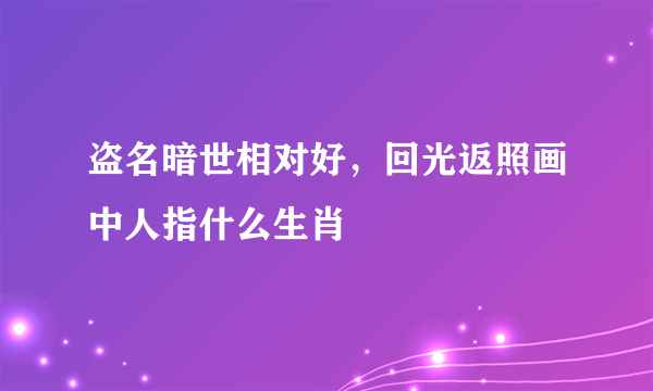 盗名暗世相对好，回光返照画中人指什么生肖