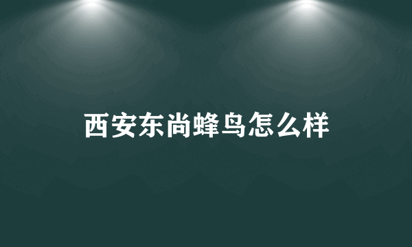 西安东尚蜂鸟怎么样