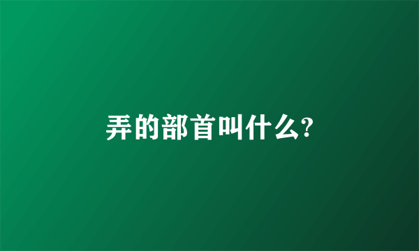 弄的部首叫什么?