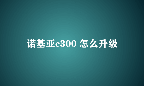 诺基亚c300 怎么升级