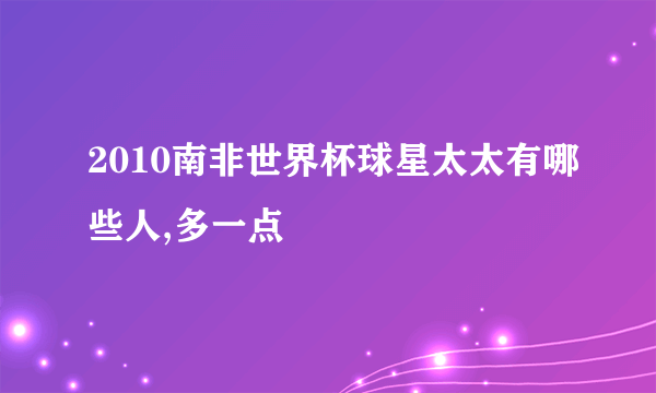 2010南非世界杯球星太太有哪些人,多一点