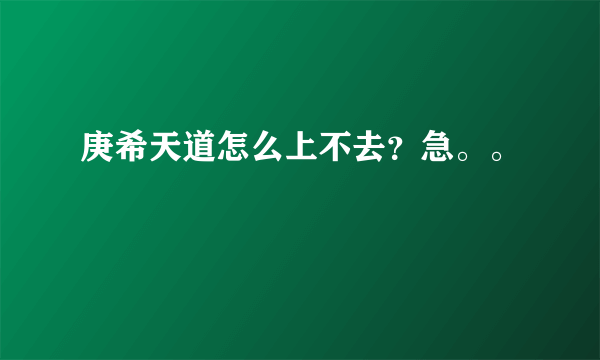 庚希天道怎么上不去？急。。