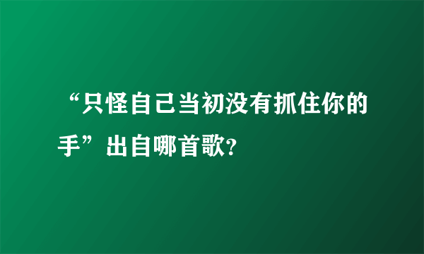 “只怪自己当初没有抓住你的手”出自哪首歌？