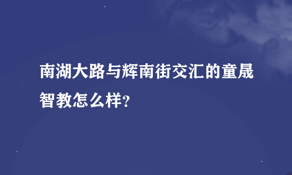 南湖大路与辉南街交汇的童晟智教怎么样？