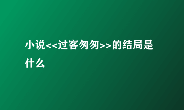 小说<<过客匆匆>>的结局是什么