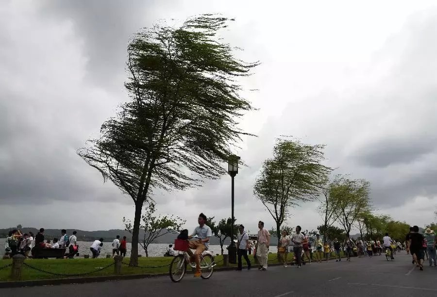 大风警报级别有几种