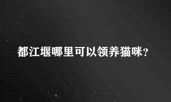 都江堰哪里可以领养猫咪？