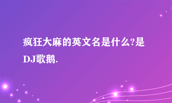 疯狂大麻的英文名是什么?是DJ歌鹅.