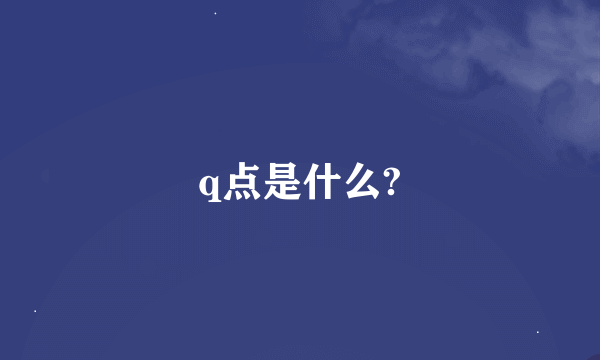 q点是什么?