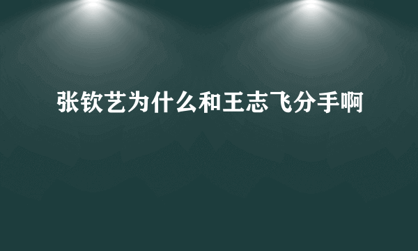 张钦艺为什么和王志飞分手啊