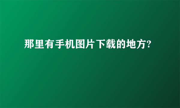 那里有手机图片下载的地方?