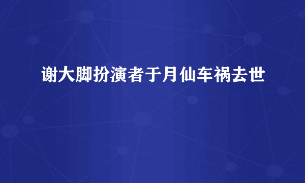 谢大脚扮演者于月仙车祸去世