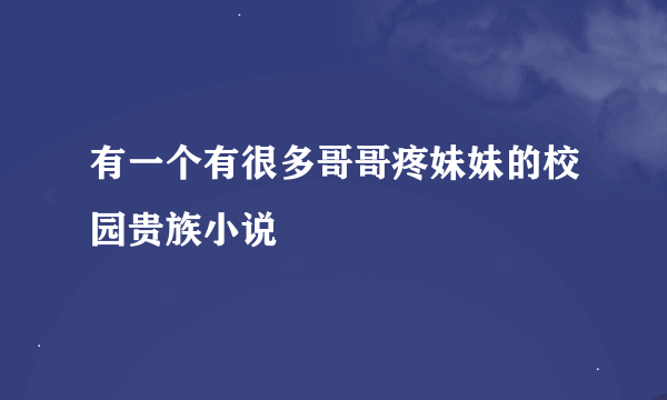 有一个有很多哥哥疼妹妹的校园贵族小说