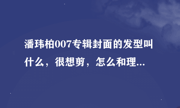 潘玮柏007专辑封面的发型叫什么，很想剪，怎么和理发师说？