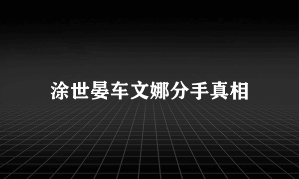 涂世晏车文娜分手真相