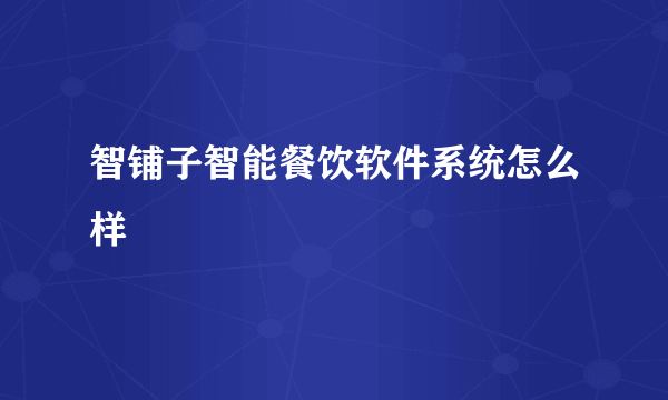 智铺子智能餐饮软件系统怎么样