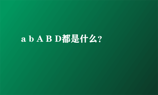 a b A B D都是什么？