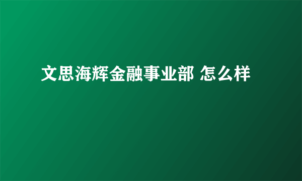 文思海辉金融事业部 怎么样