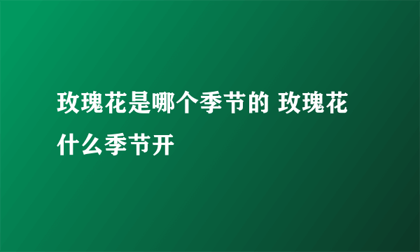 玫瑰花是哪个季节的 玫瑰花什么季节开