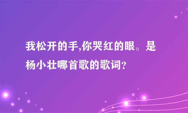 我松开的手,你哭红的眼。是杨小壮哪首歌的歌词？