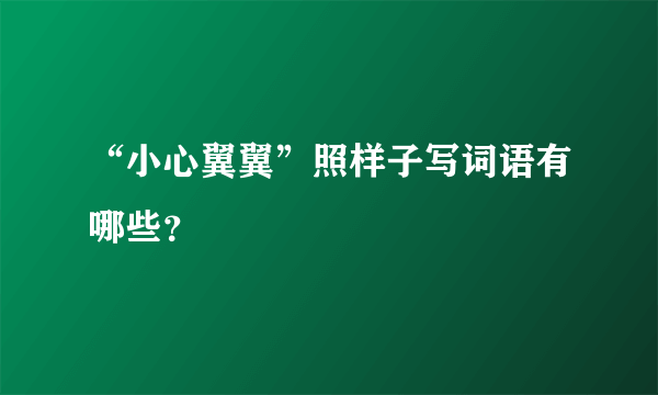 “小心翼翼”照样子写词语有哪些？