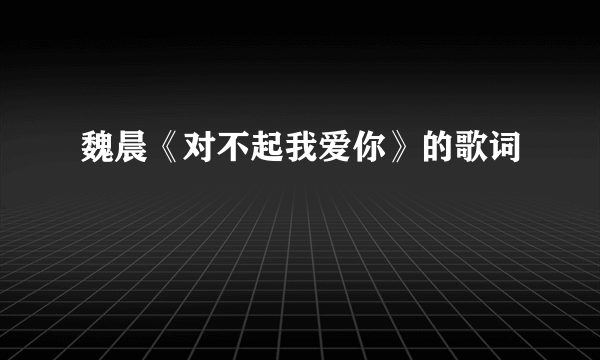 魏晨《对不起我爱你》的歌词