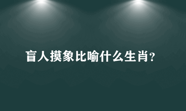 盲人摸象比喻什么生肖？