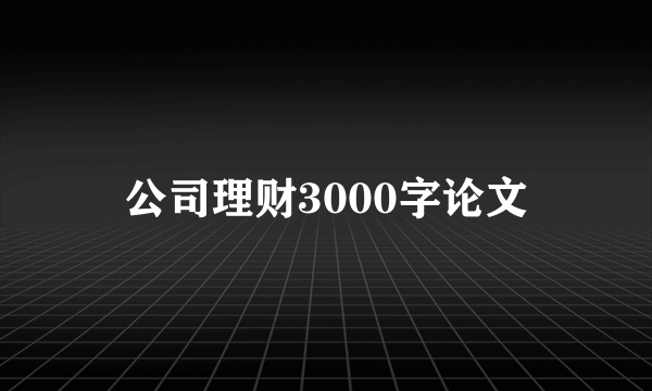 公司理财3000字论文