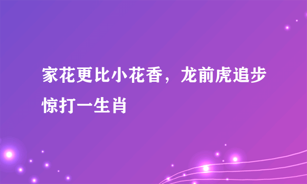 家花更比小花香，龙前虎追步惊打一生肖