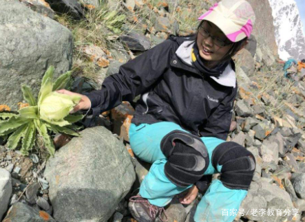 黄山95后诗人星芽登山遇难，这个女孩生前是个怎样的人？