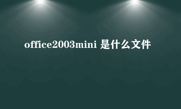 office2003mini 是什么文件