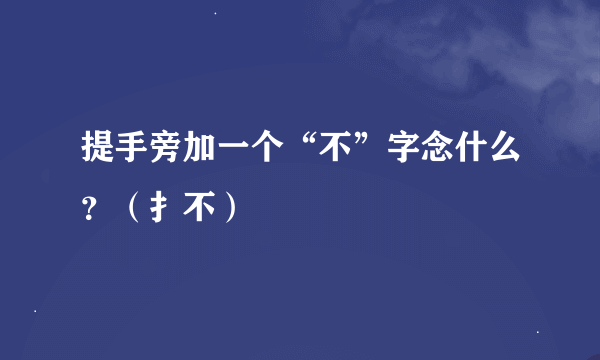 提手旁加一个“不”字念什么？（扌不）