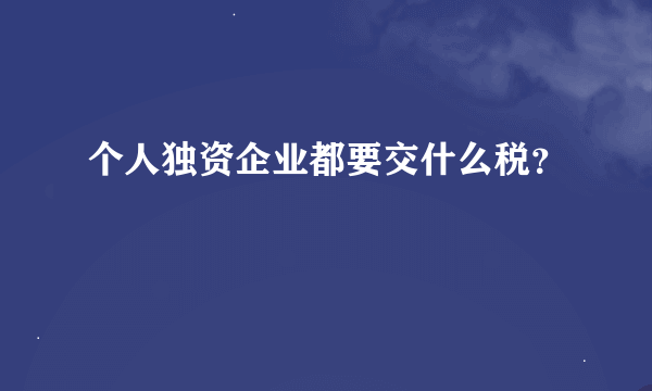 个人独资企业都要交什么税？