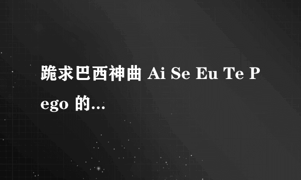 跪求巴西神曲 Ai Se Eu Te Pego 的搞笑翻译 什么摸上摸下 阿姨想去白玩