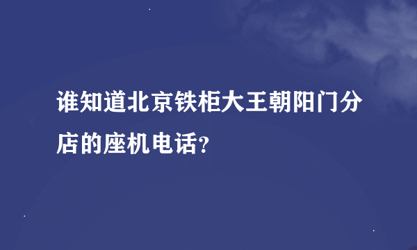 谁知道北京铁柜大王朝阳门分店的座机电话？