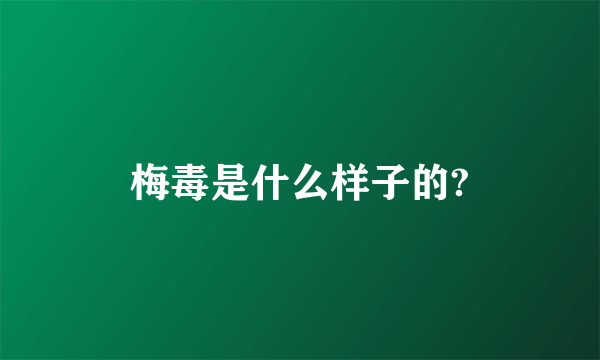 梅毒是什么样子的?