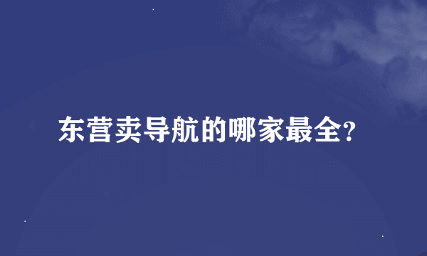 东营卖导航的哪家最全？