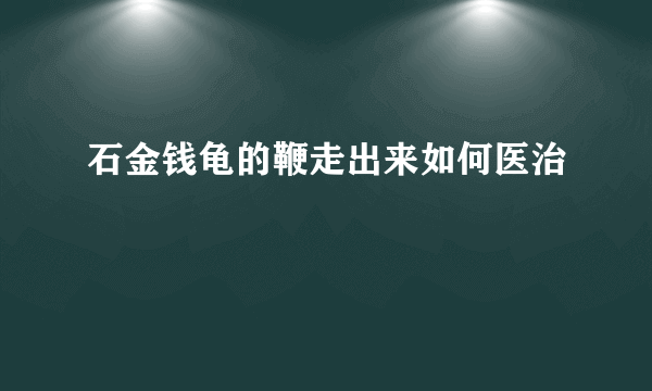 石金钱龟的鞭走出来如何医治