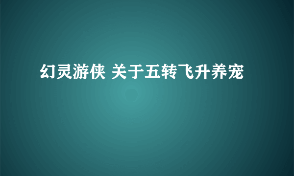 幻灵游侠 关于五转飞升养宠