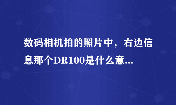 数码相机拍的照片中，右边信息那个DR100是什么意思呀？请高手解答！不胜感激