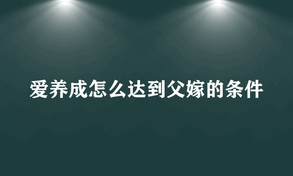 爱养成怎么达到父嫁的条件