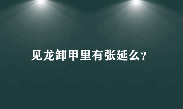 见龙卸甲里有张延么？