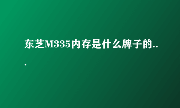 东芝M335内存是什么牌子的...