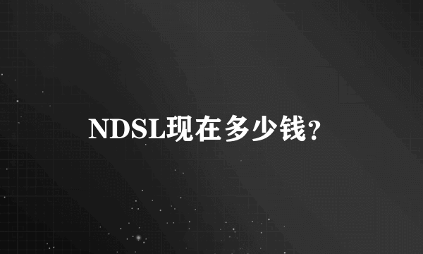 NDSL现在多少钱？