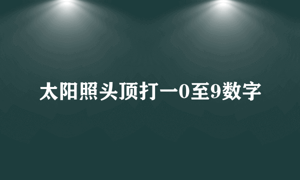 太阳照头顶打一0至9数字